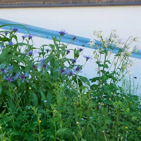 Sonnenuntergang Zeil
